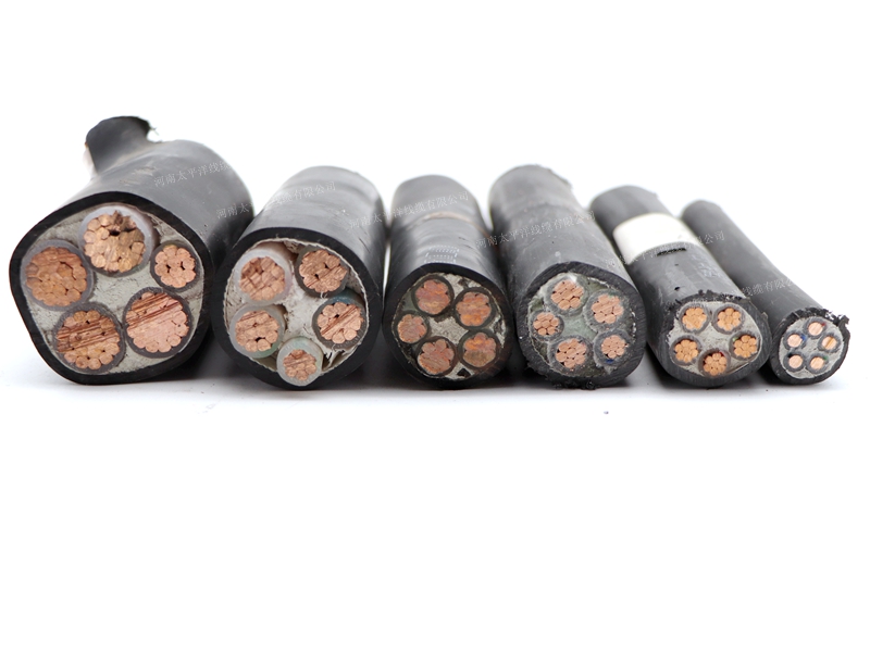 IMG_1913_副本 IMG_1913_副本