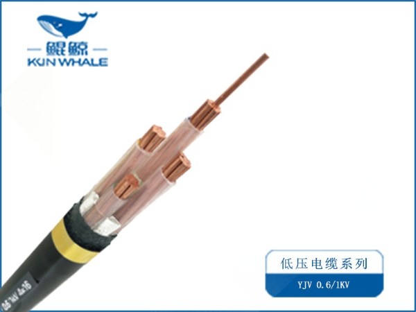 求購(gòu)電線電纜廠家16平方電纜35米 16平方電纜
